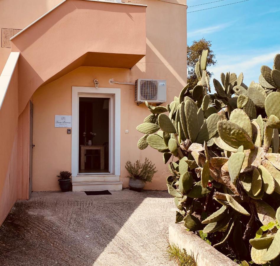 Rosa Bianca Apartment Kanali  Exterior photo